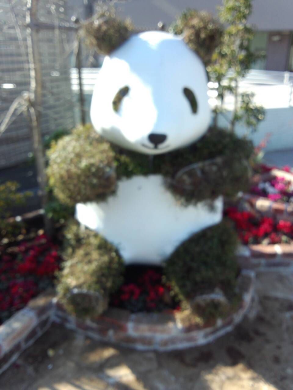 ファイル 152-2.jpg