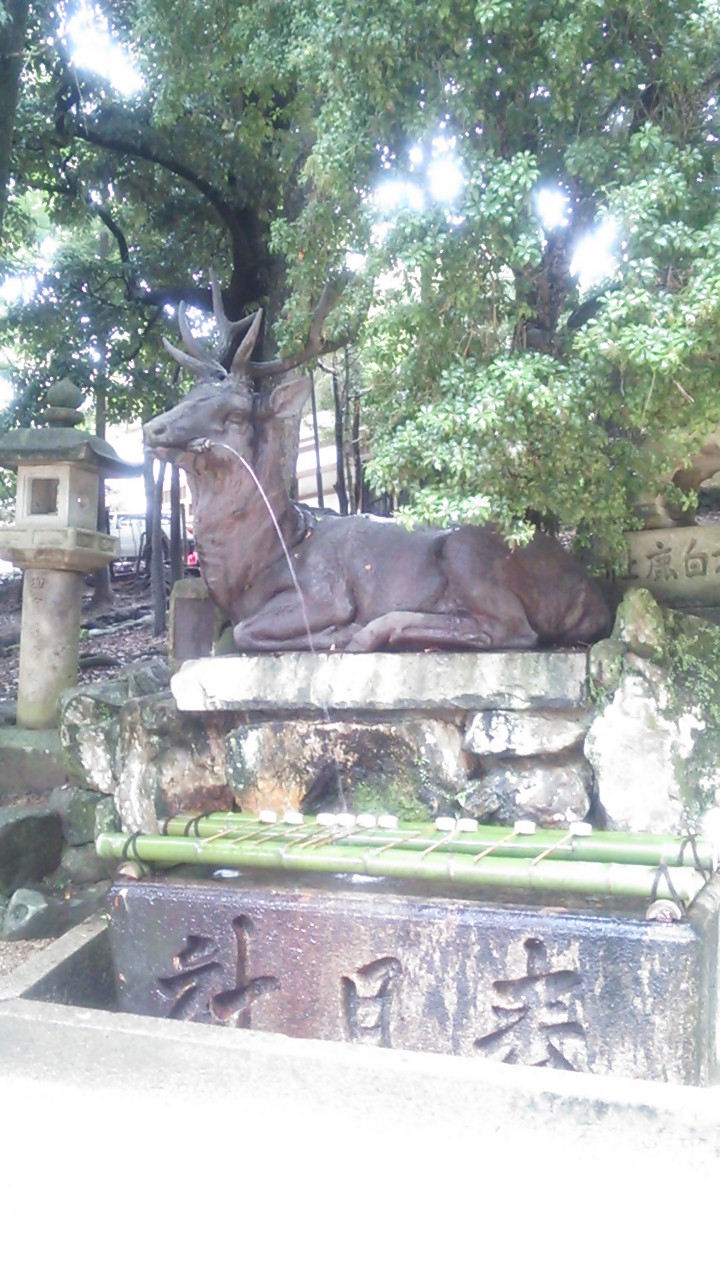 ファイル 169-5.jpg