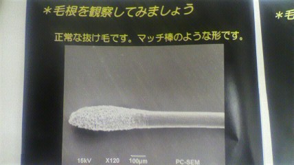 ファイル 42-3.jpg