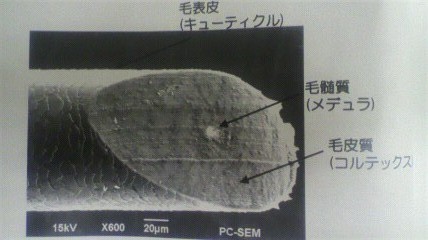 ファイル 42-4.jpg