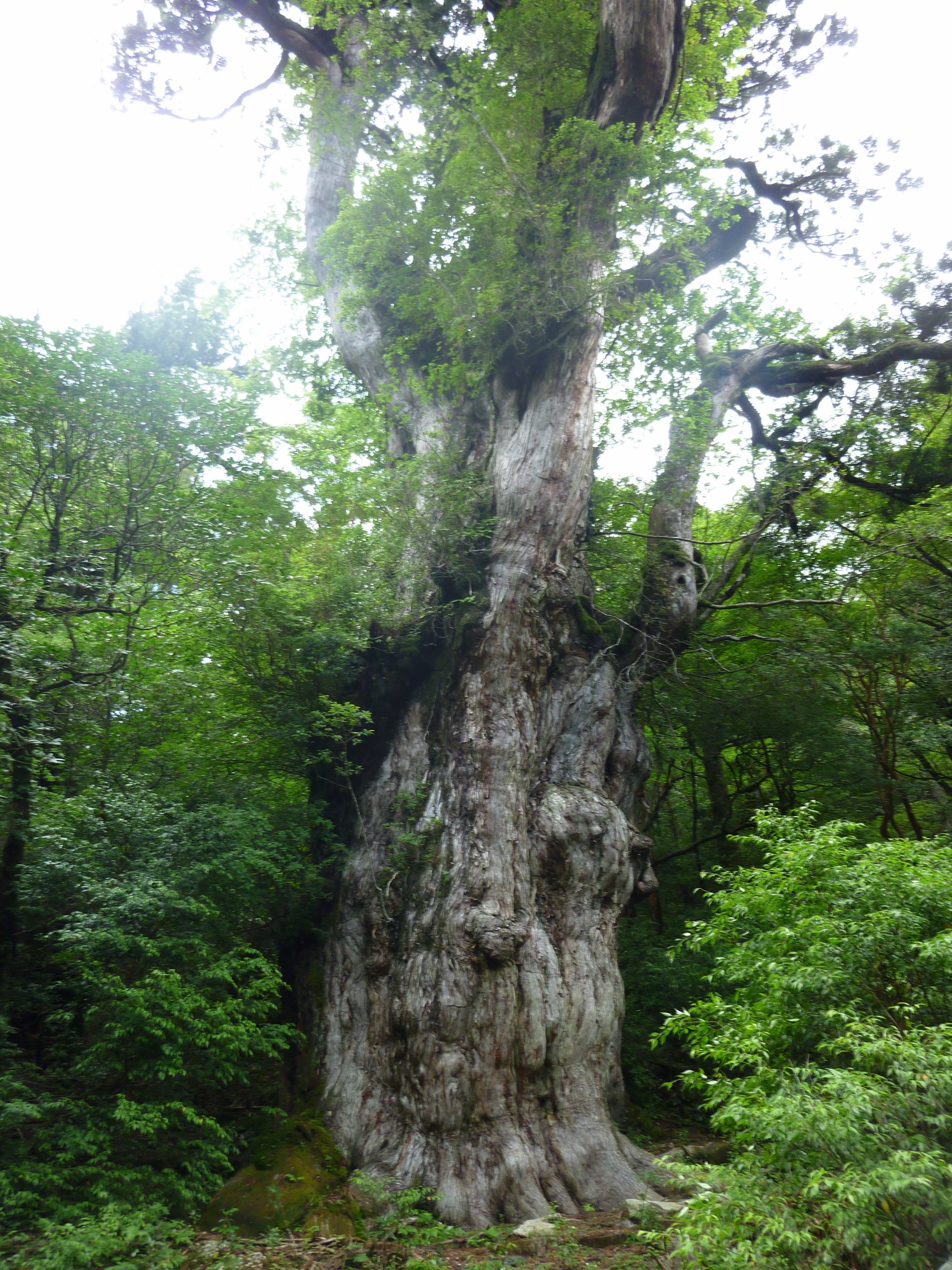 ファイル 44-4.jpg