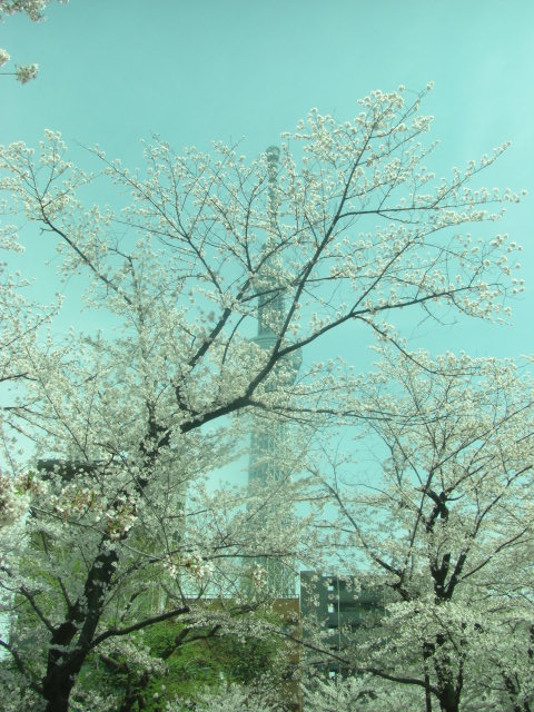 ファイル 71-2.jpg